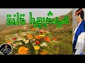 مرحبا حسب السوالف والعوايد خولان بن عامر 
