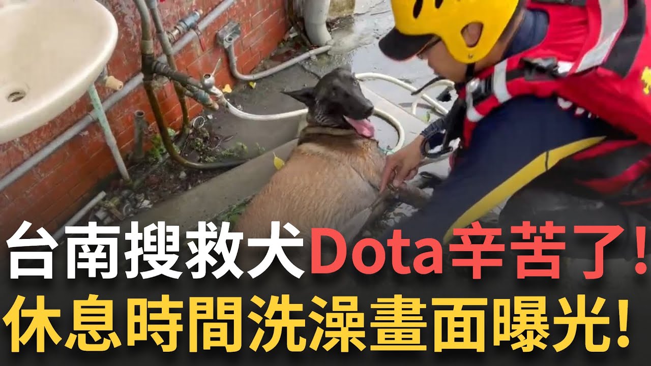 精華 │ 辛苦了! 我們的毛毛英雄！台南搜救犬Dota前進第一線 救援後洗去滿身淤泥畫面曝光! │新聞一把抓20250926│三立新聞台