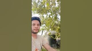 Mouka Milega to Ham | ( Form Dilwale)