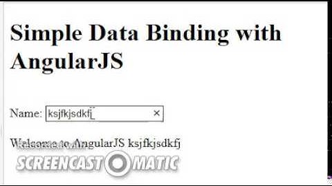 AngularJS IE clear button