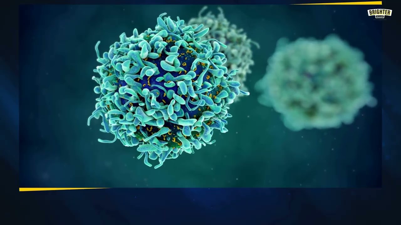 New MIT mRNA therapy restores immune defenses lost with age