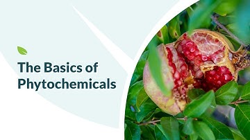 The Basics of Phytochemicals