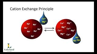 3B1, Chapter 11, Objective 6