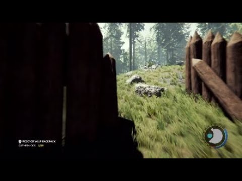 Машина в the forest