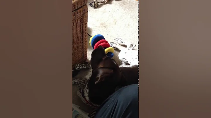 Sammy sings to CBS Sunday Morning