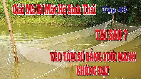 Tập 48 - Giải Mã Hệ Sinh Thái | Vì Sao Vèo Tôm Sú Bằng Lưới Mành Không Đạt?