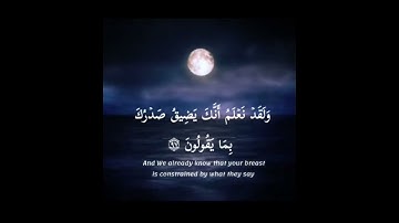ولقد نعلم انك يضيق صدرك بما يقولون// القارئ احمد خضر