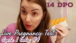 14 DPO Live Pregnancy Test//Cycle 1 TTC baby #4//Faint positive or evap lines//You can't trust tests