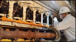 How is a Nuclear Plant Outage Like a Puzzle Race?