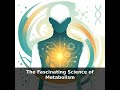How Aging Changes Your Metabolism (Chapter 3)