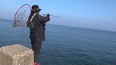 田我流 釣り Fishing With Den 第一釣 Youtube 田我流 釣り Fishing With Den 第一釣 Youtube