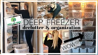 Deep Freezer Declutter and Organization | Dollar Tree Organization Ideas