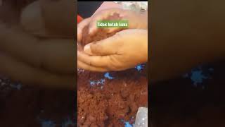 Download Lagu Semudah itukah. MP3