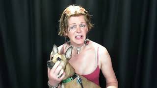 Version 3 of the video