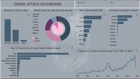 Shark Attack | Dashboard | Power BI | Power Query