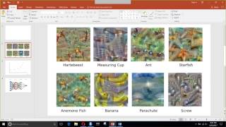 DATA 630 Neural Network Spring 2017, March 23