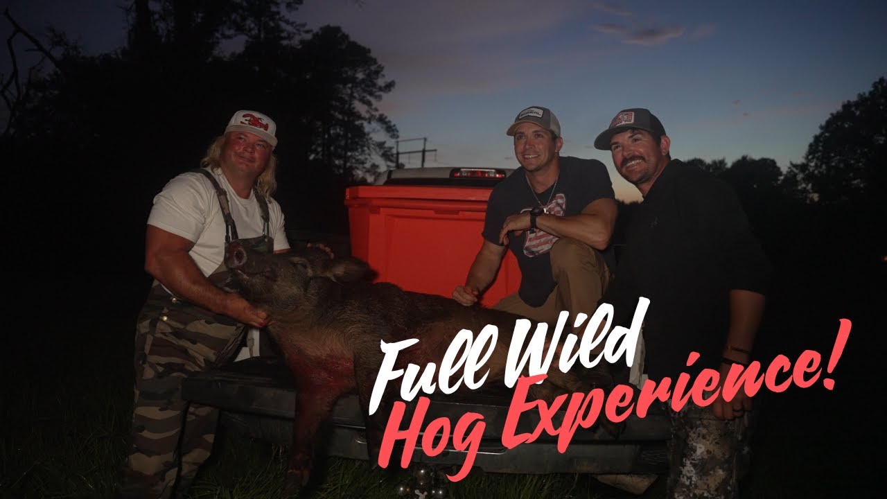 Full Wild Hog Experience! - YouTube