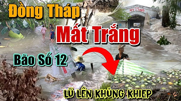 KHỦNG KHIẾP LŨ TRÀN NGẬP LỊCH SỬ MIỀN TÂY CHÌM TRONG NƯỚC CÂY TRÁI MẤT MÙA NGUY CƠ MẤT TRẮNG