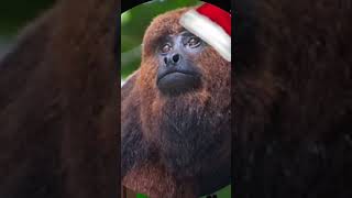 avaliando a foto de vocês parte 4 #naofloppa