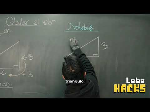 LOBOHACK 1