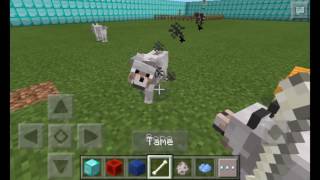 Minecraft PE: Mollys Cool World: Animals! (2)
