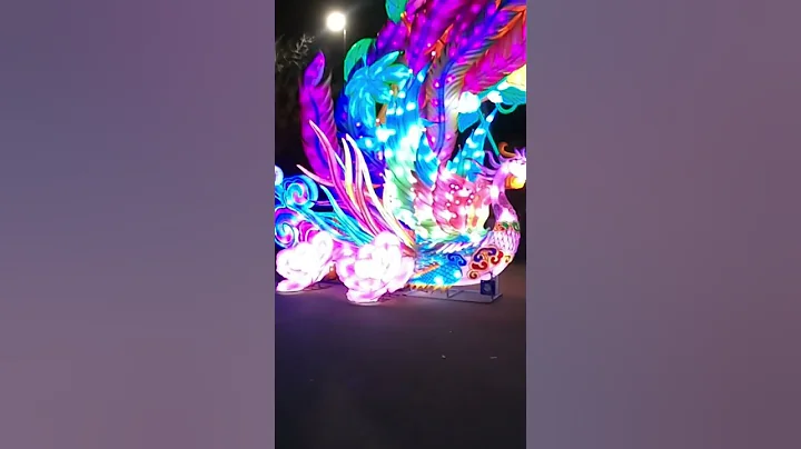 Zoolumination: Phoenix Arch