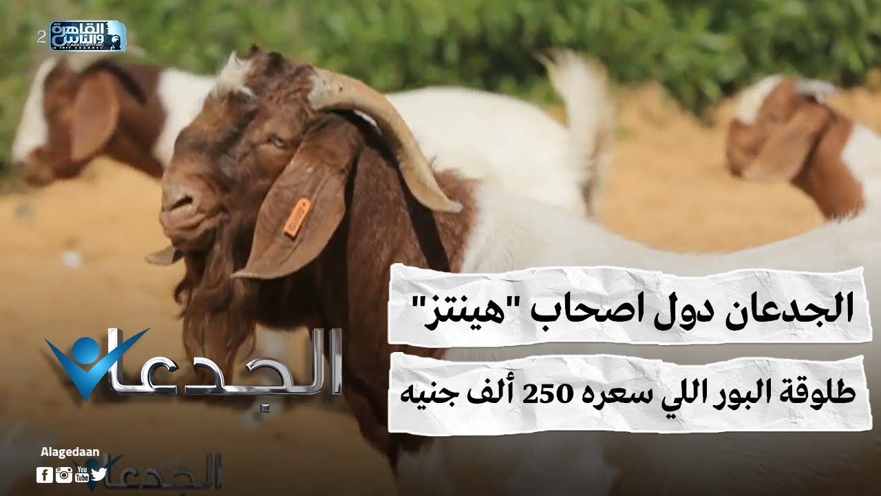 الجدعان دول اصحاب 