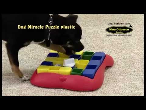 dog miracle puzzle