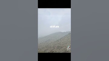 #القرآن_الكريم #تلاوة_هادئة #تلاوة_خاشعة #ياسر_الدوسري #اكسبلور
