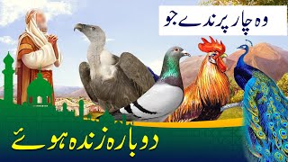 4 Parinday Jo Dobara Zinda Ho E 4 Parinday Jo Marnay K Baad Zinda Ho E