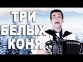 Три белых коня - поёт баянист Вячеслав Абросимов