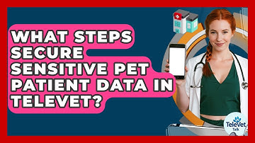 What Steps Secure Sensitive Pet Patient Data In TeleVet? - TeleVet Talk