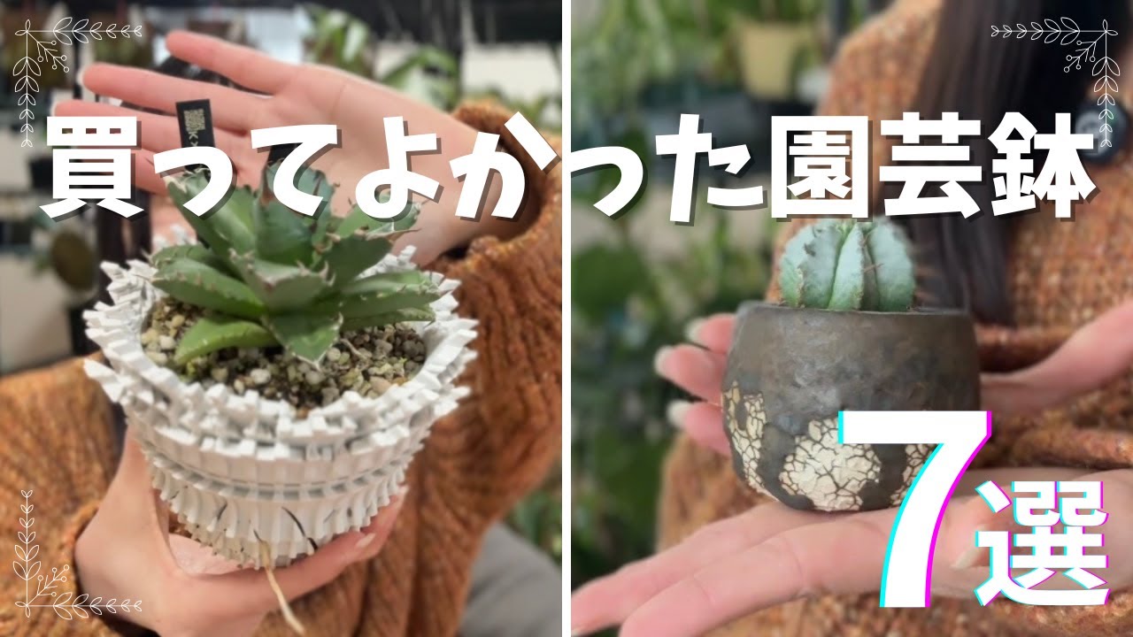 7 Pots] I'm glad I bought these in 2025! I'll look forward to