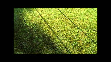 ShrekAir SYMA X5C-1 flying with birds/weaving around poles