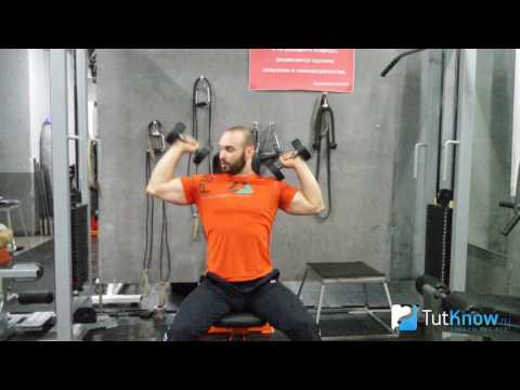 Ошибки жима гантелей сидя