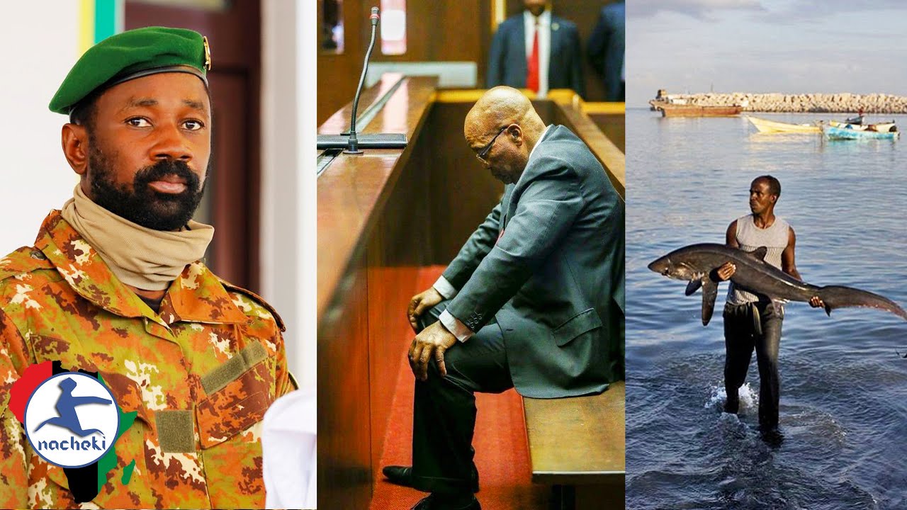 Mali's New President Escapes Assassination, Zuma's Trial Postponed, Somali New Law Protects its Fish