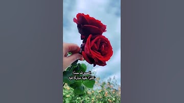 قل الحمد لله... | للقارئ الذي يبحث عنه الجميع - القارئ معاذ عيد - آية مليئة بالطمأنينة والخشوع 🖤