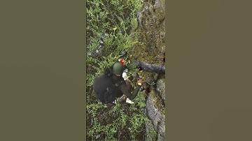 CAN YOU GUESS WHY HE DIDN