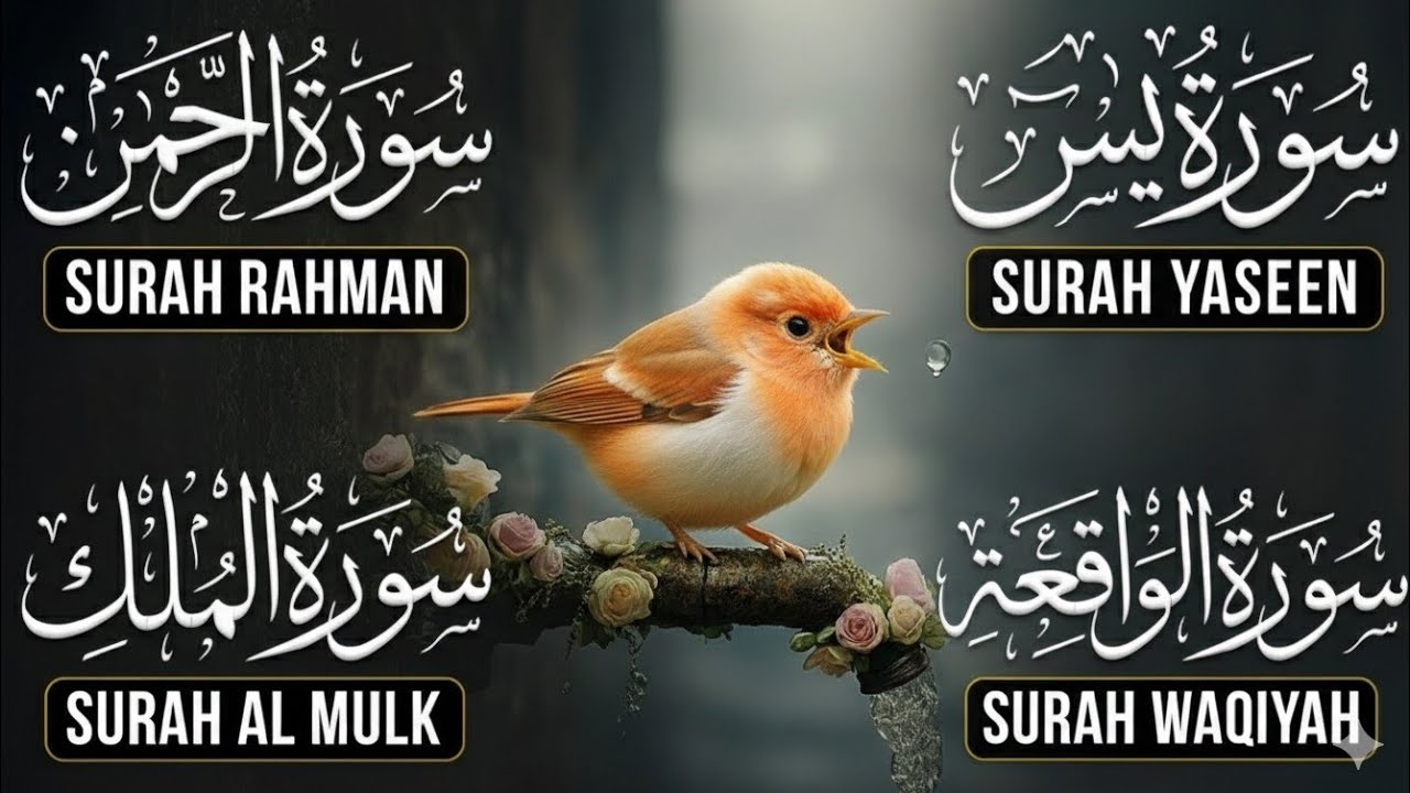 Magical Recitation Surah Yaseen (Yasin) | Surah Rahman | Surah Waqiah | Surah Mulk EP 129