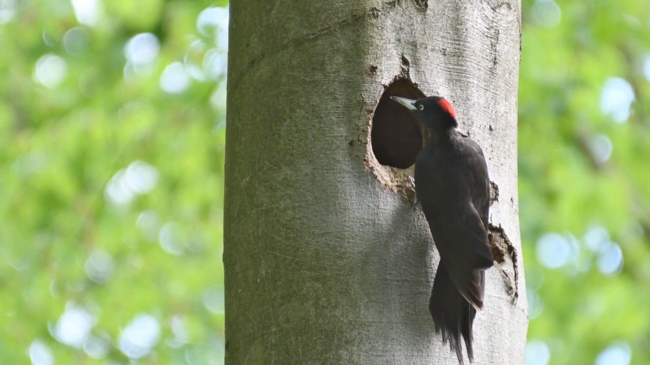 Camperreis Mecklenburg Duitsland 2019