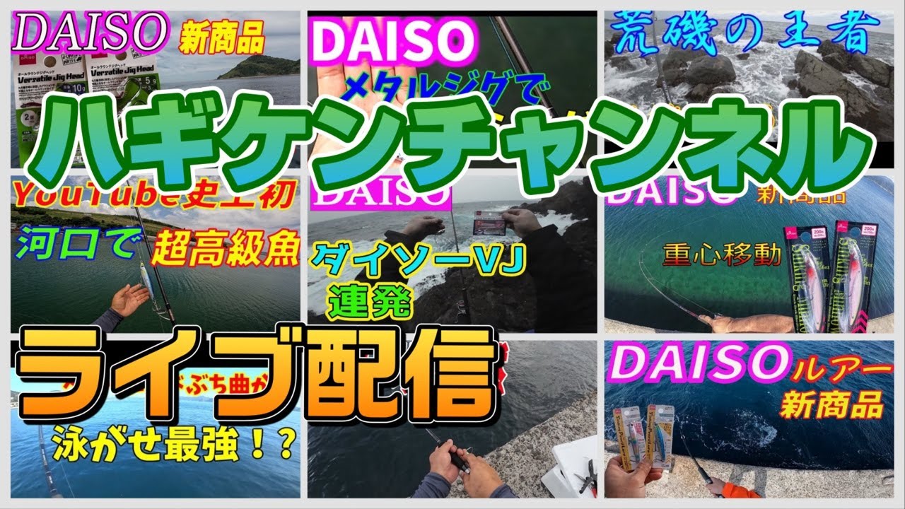 漁港からヤリイカ、メバルなど狙ってライブ配信中