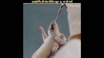 आखिर दवाइयों की लैब टेस्टिंग चूहों पर ही क्यों होता है 🤔| FactSee #shorts
