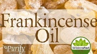 Pure Frankincense Essential Oil, Organic & Wildcrafted