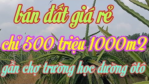 Ms53 bán đất vườn thanh long gần chợ trường học gần khu công nghiệp Long giang