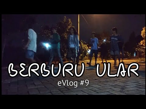 Ternyata Berburu Ular Seru Dan Kocak | eVlog