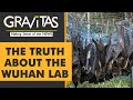 Gravitas: Caught On Camera: Bats locked up inside the Wuhan lab