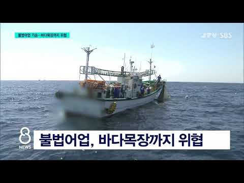 [JTV 8 뉴스] <strong>불법어업</strong> 기승... 바다 목장까지 위협