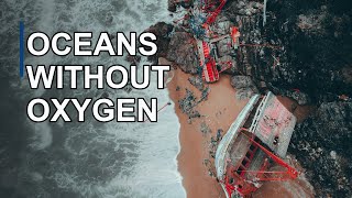 The Late Devonian Extinction: When Ancient Oceans Ran Out of Breath