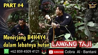  Part 4 Menyibak Tabir Misteri Lawang Taji  Gunung Karang Pandeglang Banten