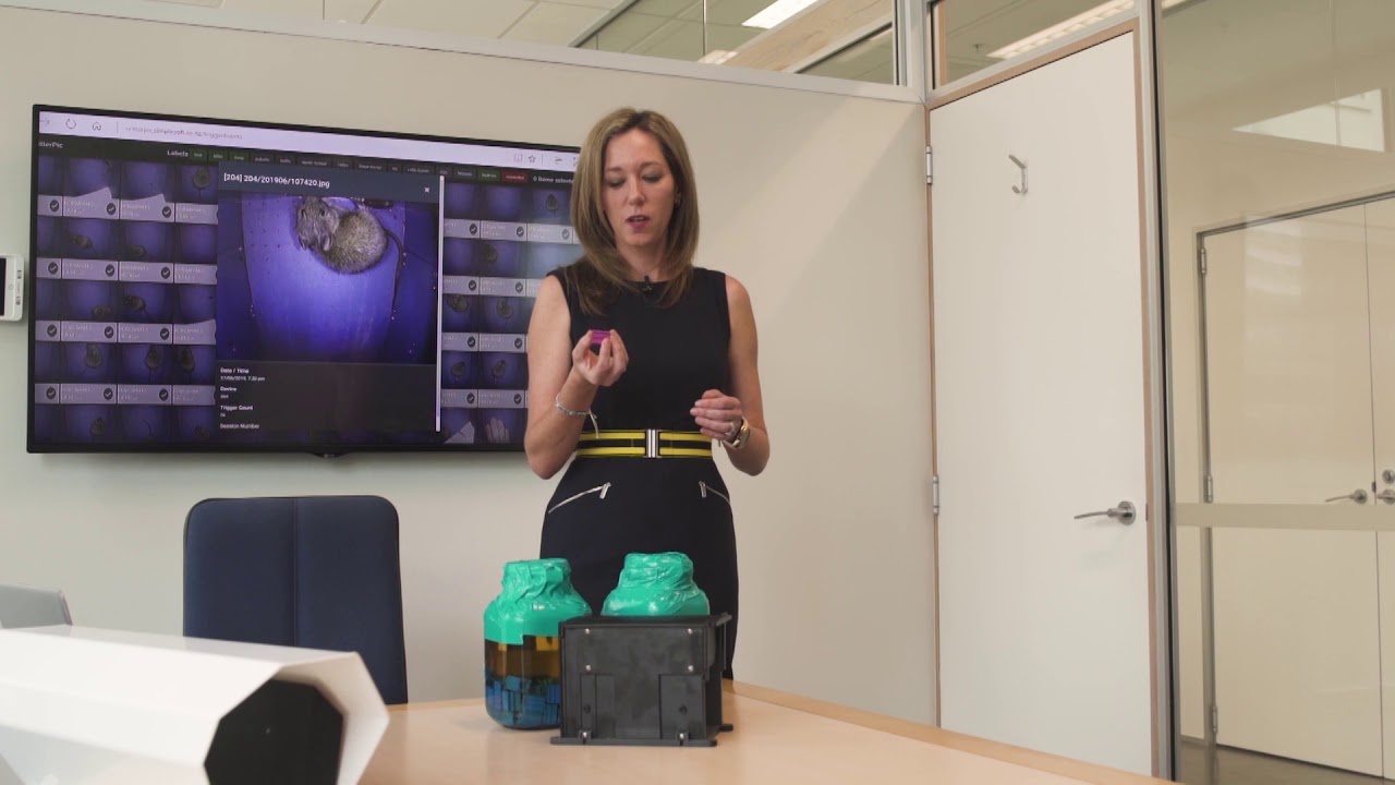 Predator Free 2050 Limited